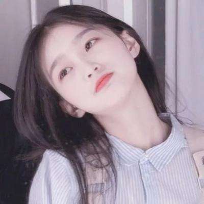 森林中的一天游戏下载